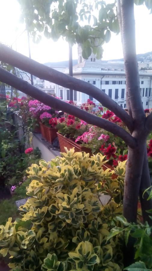 Bed And Breakfast " La Terrazza" Генуа Екстериор снимка